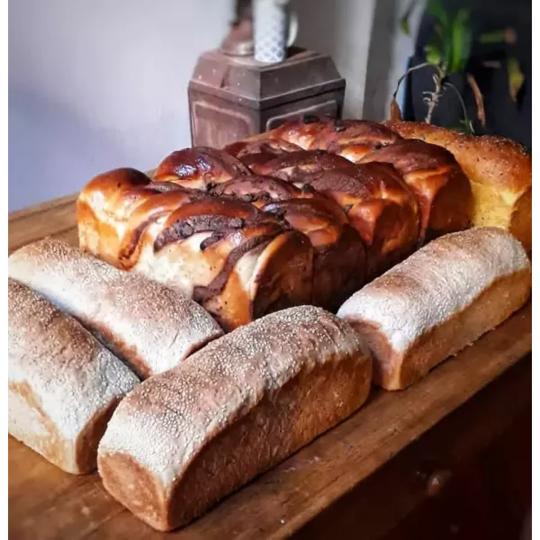 Pan De Centeno Y Oliva Madre Resistencia