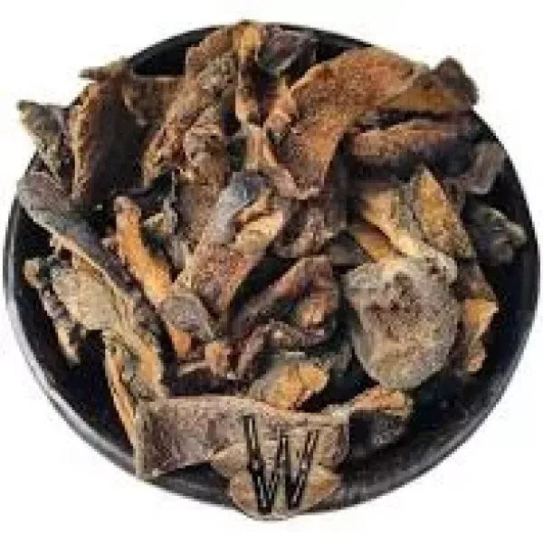 Hongos De Pino Secos X 50 A Granel
