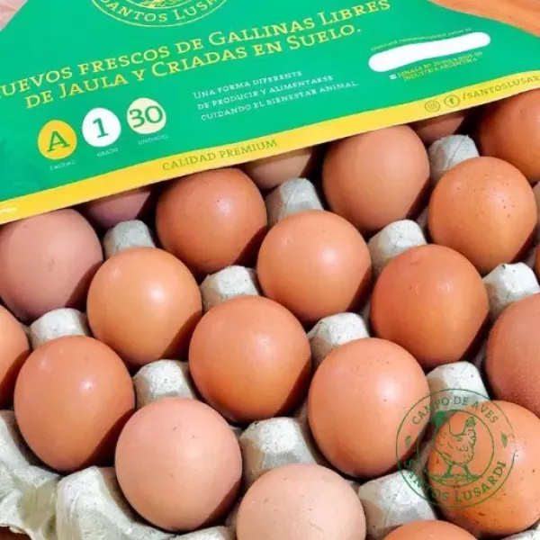 Huevos De Pastura De Gallinas Libres (maple) Santos Lusardi