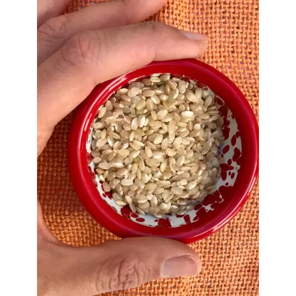 Arroz Yamani Integral X 1kg A Granel