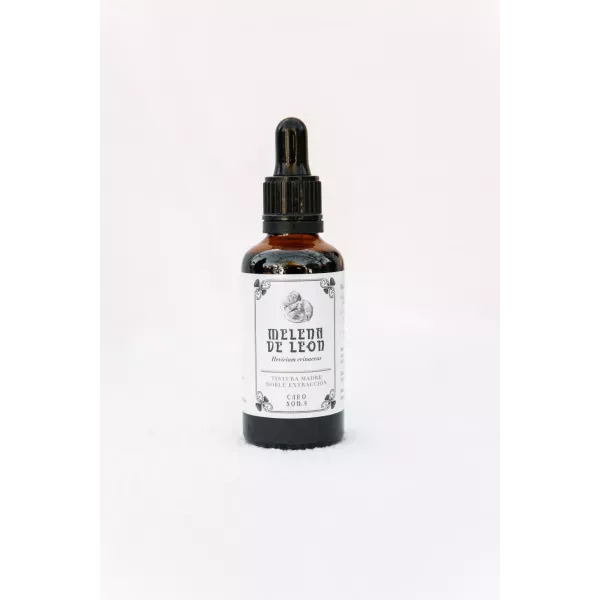 Tintura Madre Melena De Leon 50ml Caro Soma